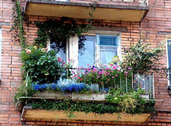Озеленение балкона