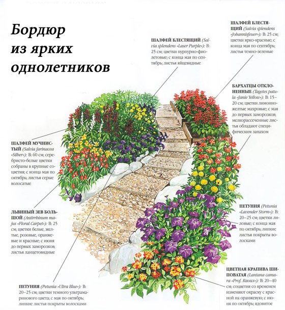 Схема цветочного бордюра