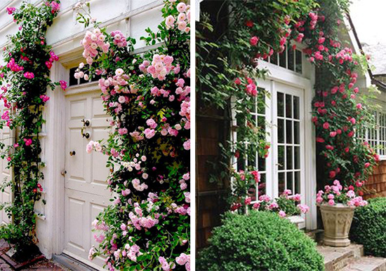 Фасады дома в обрамлении цветущих роз