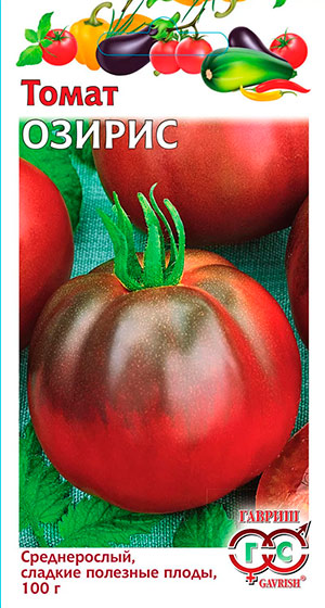 Черные помидоры лучшие сорта: посадка и уход