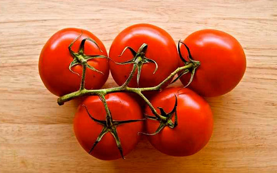 tomat-lubimec-podmoskovja-8