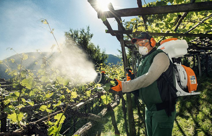 Работы, которые необходимо выполнить в конце осени для защиты сада от мхов, лишайников, раков, микозов и вредителей